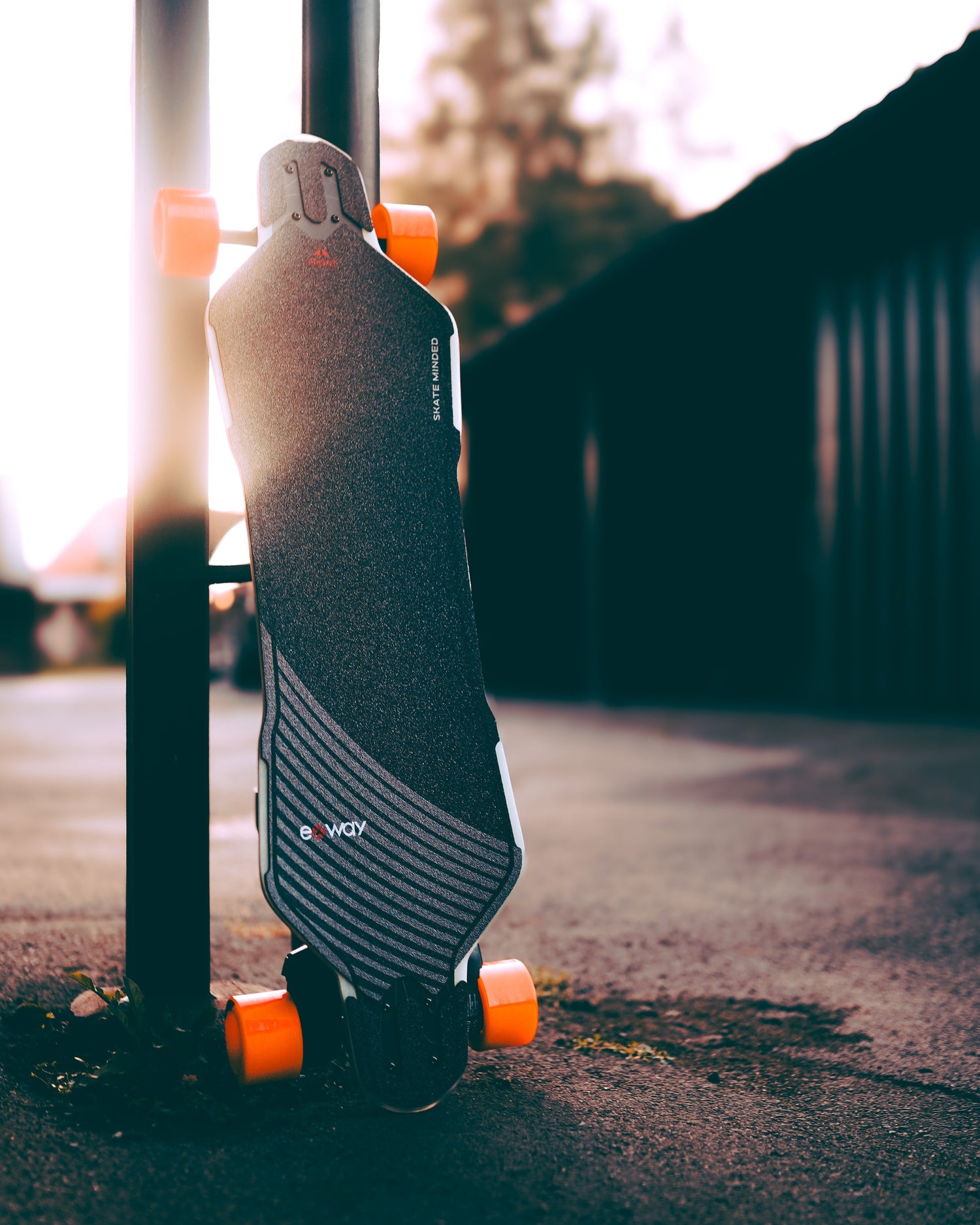 Wave vs Flex: Which One Should You Choose?